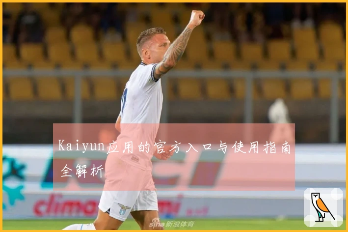 Kaiyun应用的官方入口与使用指南全解析