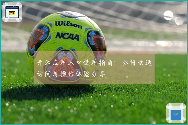 开云应用入口使用指南：如何快速访问与操作体验分享