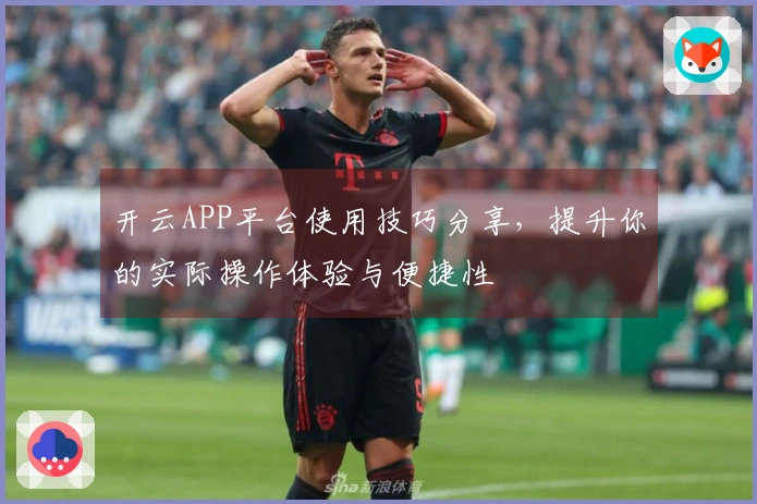 开云APP平台使用技巧分享，提升你的实际操作体验与便捷性