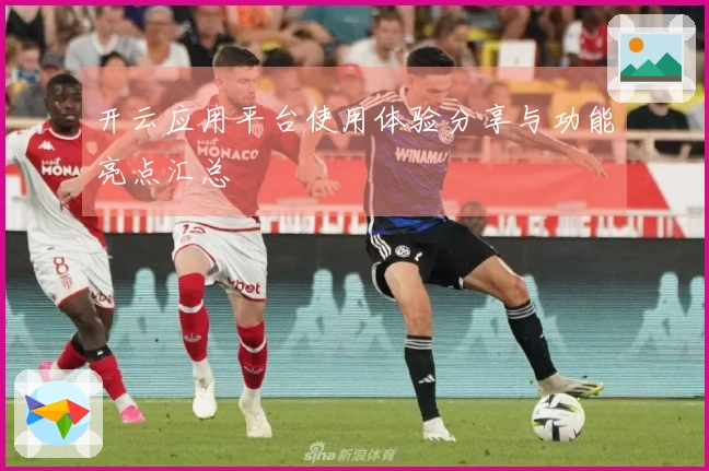 开云应用平台使用体验分享与功能亮点汇总