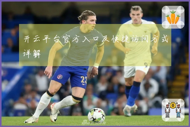 开云平台官方入口及快捷访问方式详解